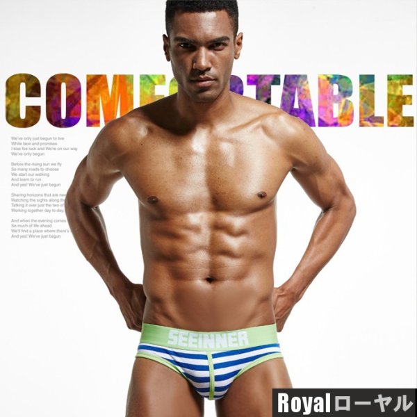 画像17: 【シーインナー】ストライプ柄ブリーフビキニ