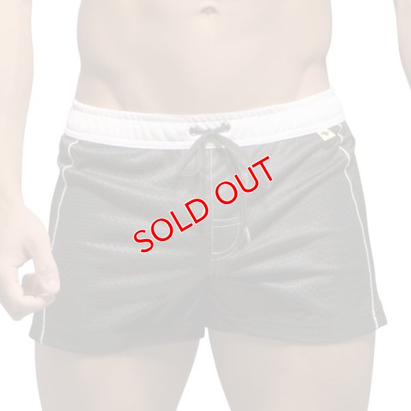 画像5: 【アンドリュークリスチャン】メンズ水着 海パン ショート丈 MAUI SWIMショーツ