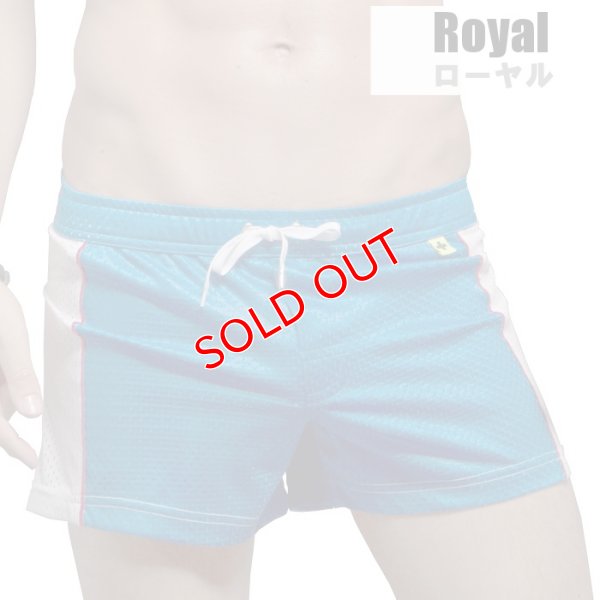 画像3: 【アンドリュークリスチャン】メンズ水着 海パン ショート丈 MAUI SWIMショーツ