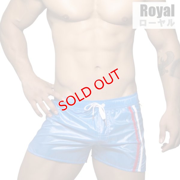 画像3: 【アンドリュークリスチャン】メンズ水着 海パン ショート丈 スイムショーツ Diver