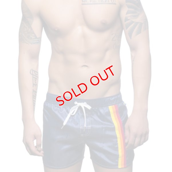 画像2: 【アンドリュークリスチャン】スイムショーツ California Collection