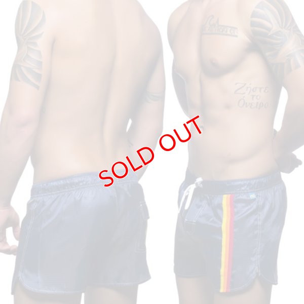 画像3: 【アンドリュークリスチャン】スイムショーツ California Collection