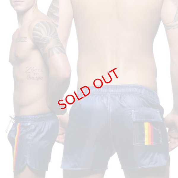 画像4: 【アンドリュークリスチャン】スイムショーツ California Collection