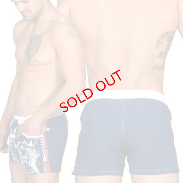 画像5: 【アンドリュークリスチャン】スイムショーツ Tropics Swim Shorts