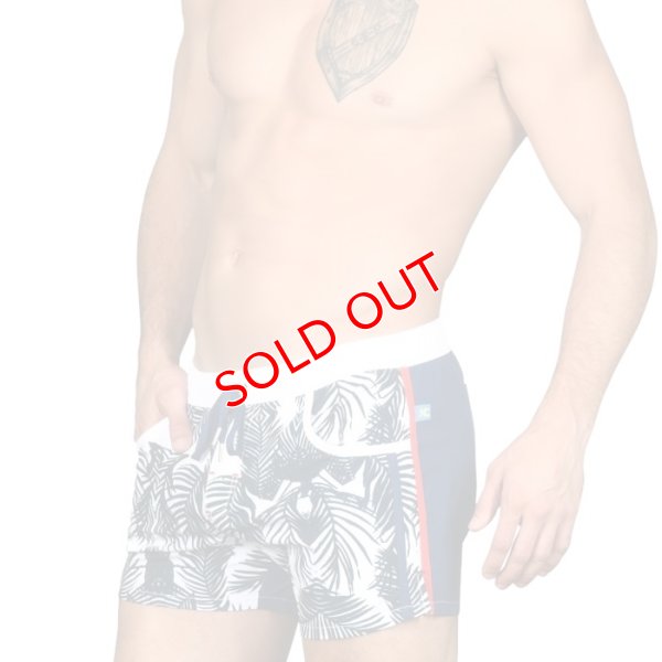 画像6: 【アンドリュークリスチャン】スイムショーツ Tropics Swim Shorts