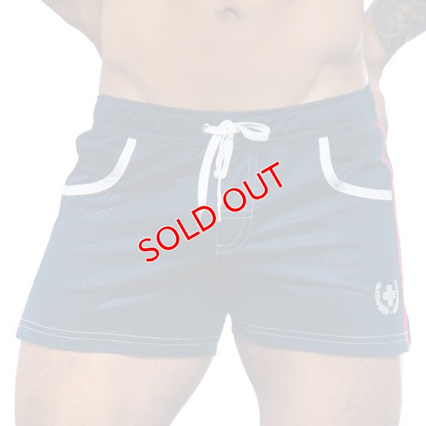 画像2: 【アンドリュークリスチャン】スイムショーツ Sports Mesh Swim Shorts