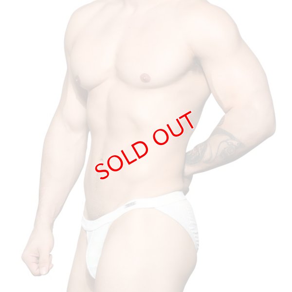 画像3: Andrew Christian【アンドリュークリスチャン】  男性水着 ブーメラン ビキニ 競泳パンツSnakeskin Bikini Almost Naked