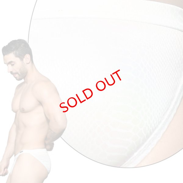 画像6: Andrew Christian【アンドリュークリスチャン】  男性水着 ブーメラン ビキニ 競泳パンツSnakeskin Bikini Almost Naked