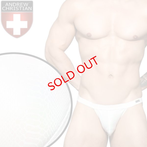 画像1: Andrew Christian【アンドリュークリスチャン】  男性水着 ブーメラン ビキニ 競泳パンツSnakeskin Bikini Almost Naked