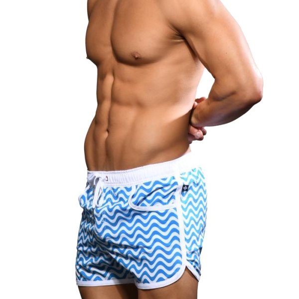画像4: Andrew Christian【アンドリュークリスチャン】メンズ水着 海パン ブランド ショート丈 スイムショーツ Waves Swim Shorts