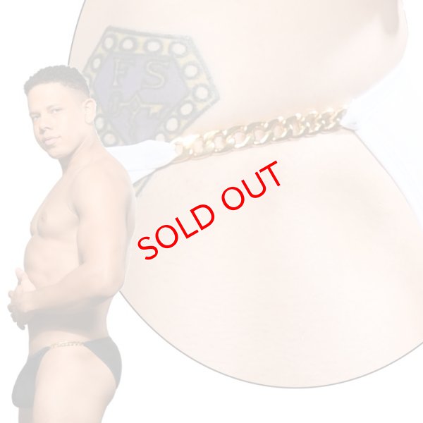 画像10: Andrew Christian【アンドリュークリスチャン】  男性水着 ブーメラン ビキニ 競泳パンツUNLEASHED Chain Bikini Almost Naked(7959)