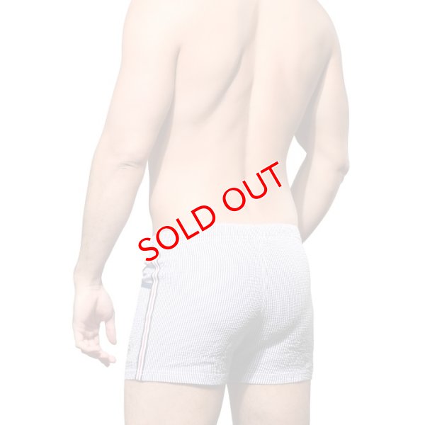 画像4: Andrew Christian【アンドリュークリスチャン】メンズ水着 海パン ブランド ショート丈 スイムショーツ Retro Stripe(7968)