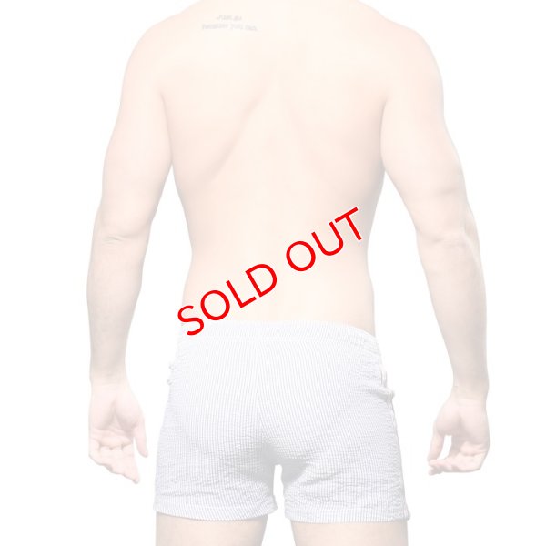 画像5: Andrew Christian【アンドリュークリスチャン】メンズ水着 海パン ブランド ショート丈 スイムショーツ Retro Stripe(7968)