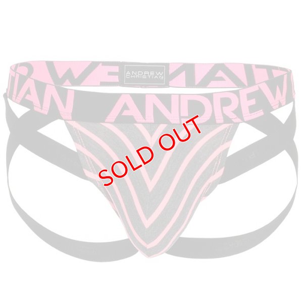 画像8: 【アンドリュークリスチャン】Physical Stripe ジョックストラップ w/ Almost Naked