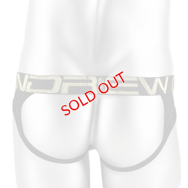 画像4: 【アンドリュークリスチャン】Lattice Lace Sheer Frame Almost Nakedジョックストラップケツ割れ ケツ割れ