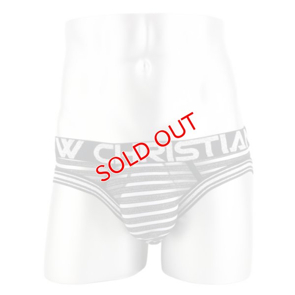 画像4: 【アンドリュークリスチャン】Glitter Almost Naked メッシュ シースルー ブリーフ