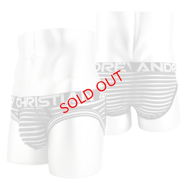 画像5: 【アンドリュークリスチャン】Glitter Almost Naked メッシュ シースルー ブリーフ