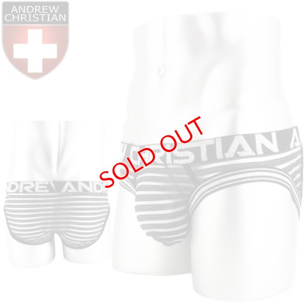 画像1: 【アンドリュークリスチャン】Glitter Almost Naked メッシュ シースルー ブリーフ