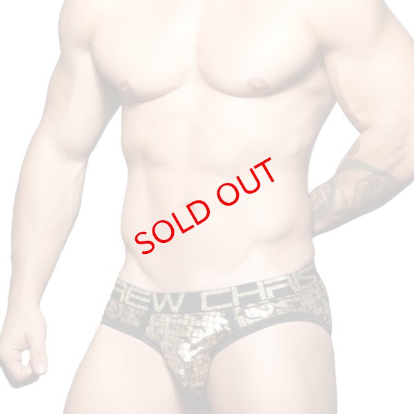 画像3: 【アンドリュークリスチャン】Cubist ビキニブリーフ