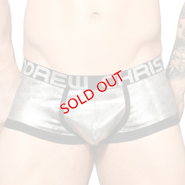 画像5: 【アンドリュークリスチャン】BRILLIANCE ARCHボクサーパンツ 男性用 Tバック