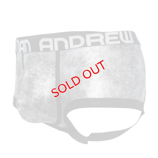 画像6: 【アンドリュークリスチャン】BRILLIANCE ARCHボクサーパンツ 男性用 Tバック