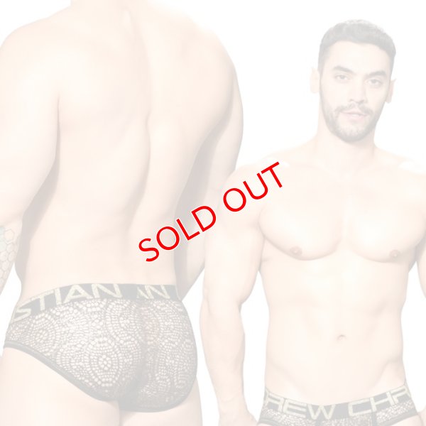 画像2: 【アンドリュークリスチャン】 EL DORADO ALMOST NAKEDメッシュ シースルー  ブリーフ