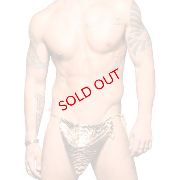 画像3: 【アンドリュークリスチャン】Plush Tiger Jungle Almost Naked メッシュTバック