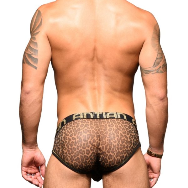 画像2: Andrew Christian【アンドリュークリスチャン】 Sheer Leopard Almost Naked メッシュ ブリーフ