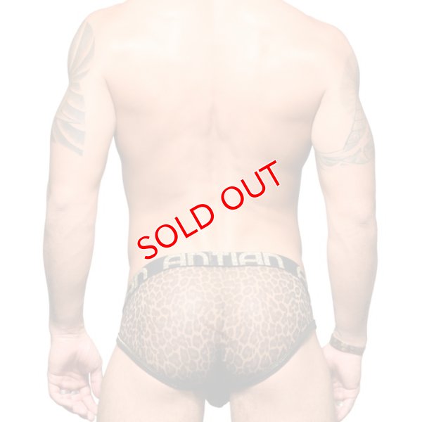 画像2: Andrew Christian【アンドリュークリスチャン】 Sheer Leopard Almost Naked メッシュ ブリーフ