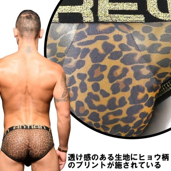 画像6: Andrew Christian【アンドリュークリスチャン】 Sheer Leopard Almost Naked メッシュ ブリーフ