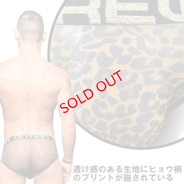 画像6: Andrew Christian【アンドリュークリスチャン】 Sheer Leopard Almost Naked メッシュ ブリーフ