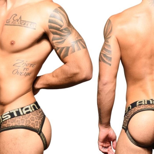 画像2: Andrew Christian【アンドリュークリスチャン】 Sheer Leopard Arch Almost Naked メッシュ ジョックストラップ