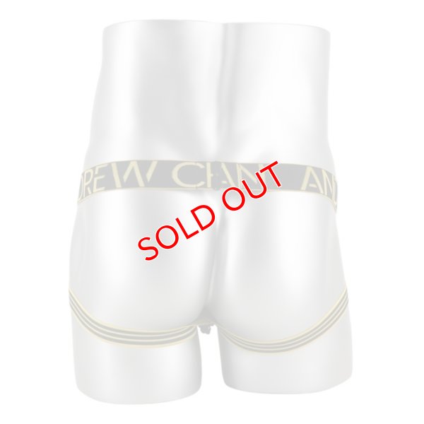 画像4: Andrew Christian【アンドリュークリスチャン】 Sexy メッシュ ジョックストラップ w/ Almost Naked