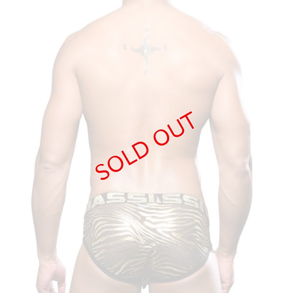 画像3: Andrew Christian【アンドリュークリスチャン】 MASSIVE Tiger Sheer メッシュブリーフ