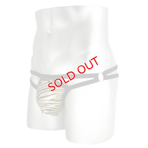 画像3: Andrew Christian【アンドリュークリスチャン】男性用Tバック メンズ Tバック MASSIVE Tiger メッシュ Tバック