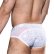 画像5: Andrew Christian【アンドリュークリスチャン】 Snow Sheer Arch Brief Almost Naked ブリーフ