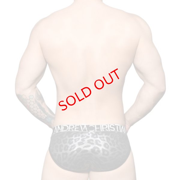 画像4: Andrew Christian【アンドリュークリスチャン】 Metallic Leopard Almost Naked ブリーフ