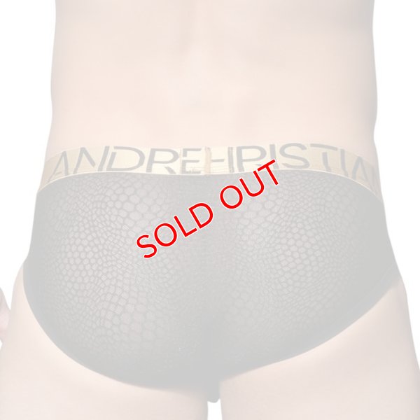 画像5: Andrew Christian【アンドリュークリスチャン】 Bubble Mesh Brief  Almost Naked メッシュブリーフ