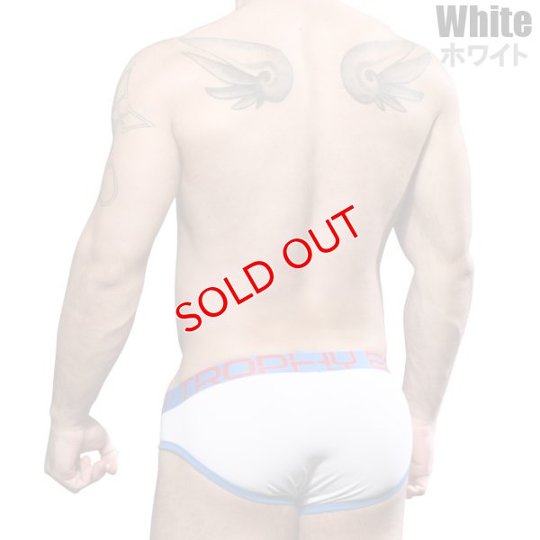 画像15: Andrew Christian【アンドリュークリスチャン】 Phys. Ed. Varsity Brief ブリーフ