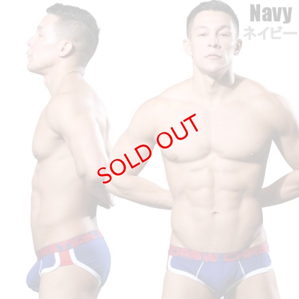 画像2: Andrew Christian【アンドリュークリスチャン】 SHOW-IT Retro Popメッシュ ブリーフ