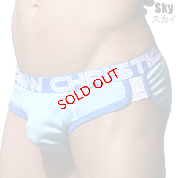 画像11: Andrew Christian【アンドリュークリスチャン】 SHOW-IT Retro Popメッシュ ブリーフ