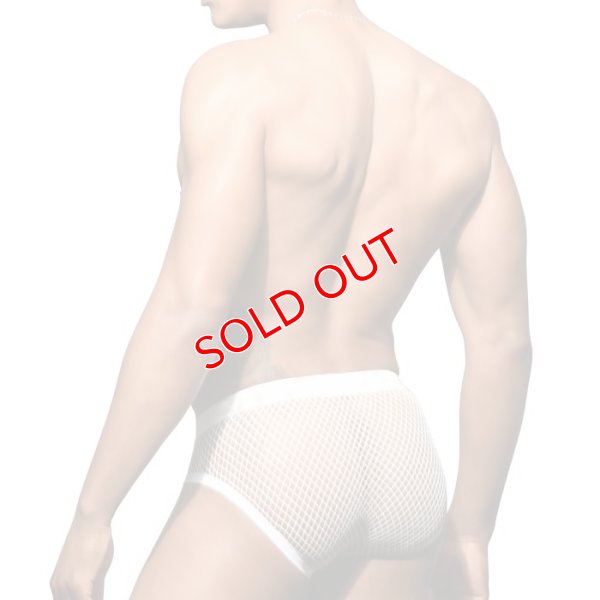 画像4: Andrew Christian【アンドリュークリスチャン】  Fishnet メッシュ・ブリーフ ローライズ 男性下着 メンズインナー