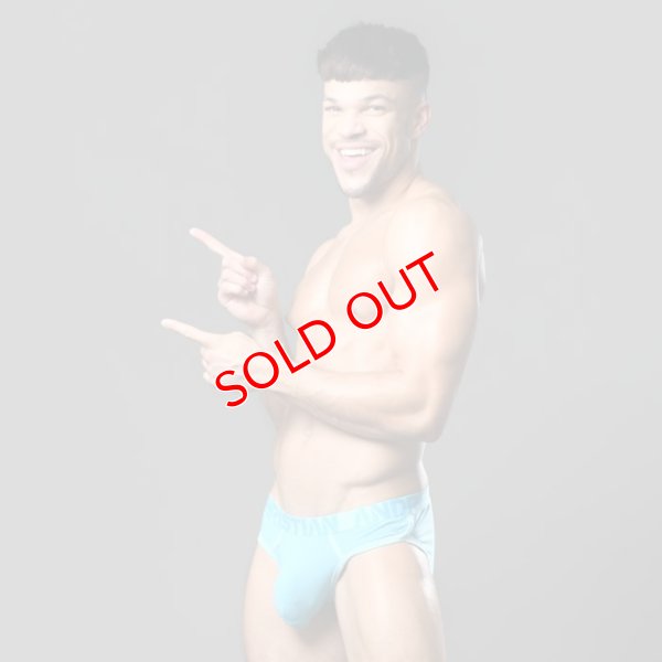 画像2: Andrew Christian【アンドリュークリスチャン】 ブリーフ メンズビキニ アンクリ ALMOST NAKED レトロ BAMBOO ブリーフ