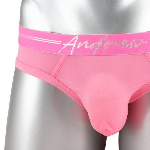 画像5: Andrew Christian【アンドリュークリスチャン】男性用Tバック メンズTバック メッシュ シースルー ジョックストラップ ケツ割れ ケツワレ エロパン Naked Truth