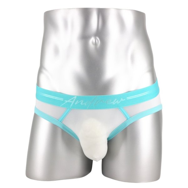 画像8: Andrew Christian【アンドリュークリスチャン】男性用Tバック メンズTバック メッシュ シースルー ジョックストラップ ケツ割れ ケツワレ エロパン Naked Truth