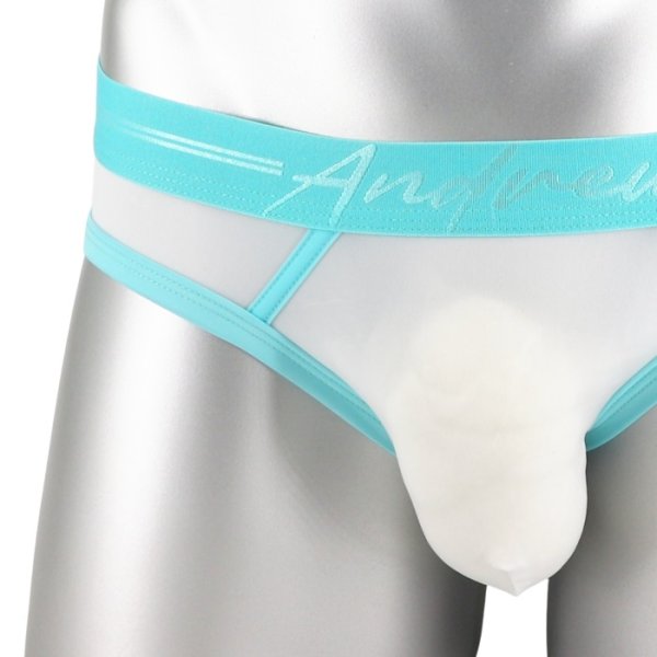 画像9: Andrew Christian【アンドリュークリスチャン】男性用Tバック メンズTバック メッシュ シースルー ジョックストラップ ケツ割れ ケツワレ エロパン Naked Truth