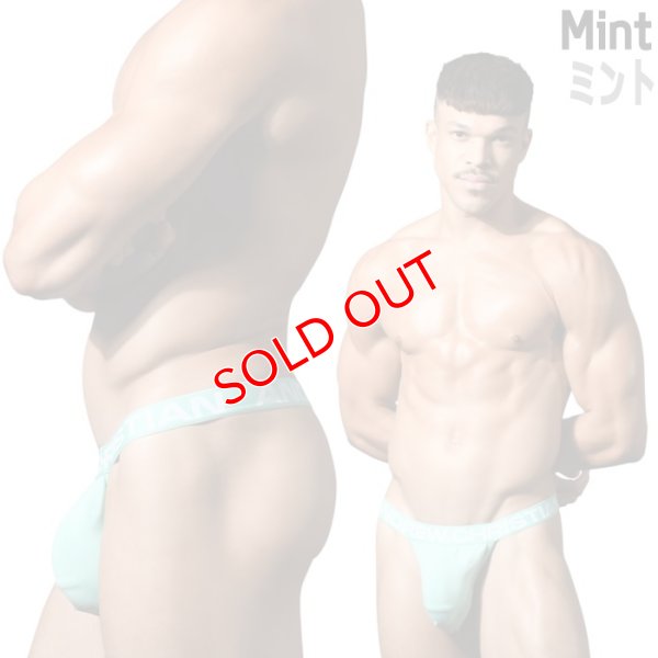 画像7: Andrew Christian【アンドリュークリスチャン】男性用Tバック メンズTバック アンクリ TROPHY BOY Bamboo Tバック