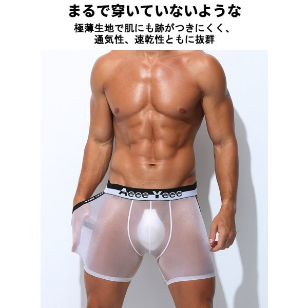 画像3: AeeeYeee ボクサーパンツ Oバック メンズ ボクサー 極薄シースルー生地 エロパン セクシー ストレッチ 透け感 男性下着