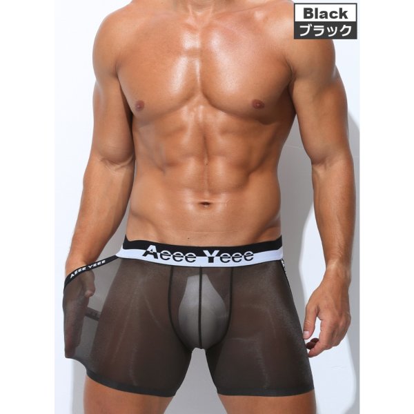 画像5: AeeeYeee ボクサーパンツ Oバック メンズ ボクサー 極薄シースルー生地 エロパン セクシー ストレッチ 透け感 男性下着