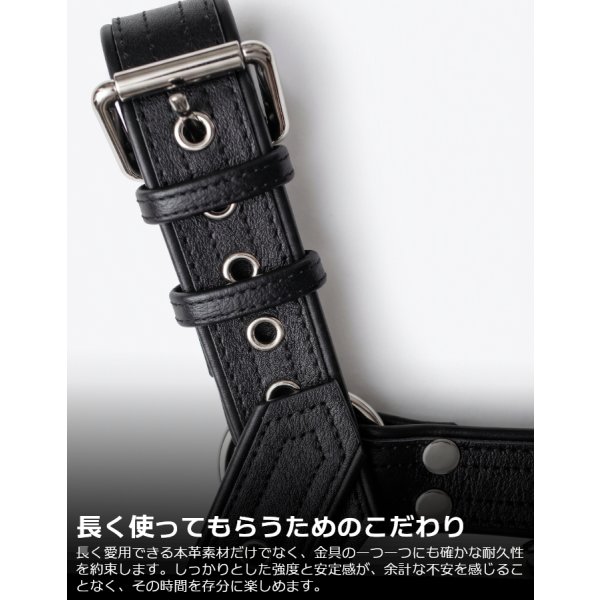画像4: 厚手 本革 チェストハーネス スムースレザー ナッパ調 メンズ レザー ハーネス 牛革 SMBD パンク ロック コスプレ フェティッシュ ステージ衣装